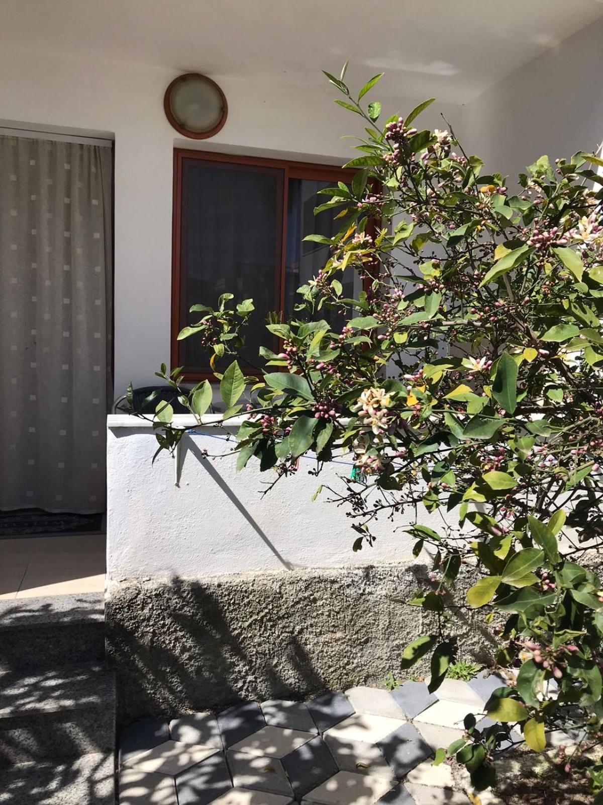 فندق Vila Cano دراس المظهر الخارجي الصورة